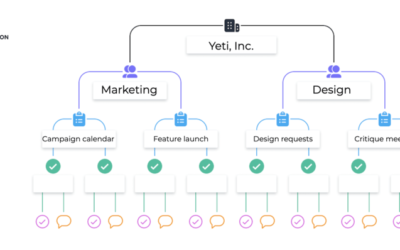An Introduction to Asana